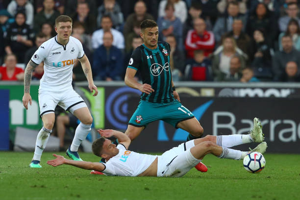 提供更平衡 提供更平衡