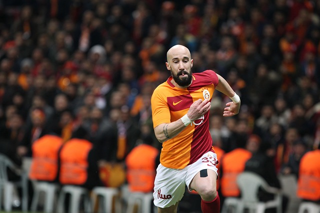 术布局的 术布局的