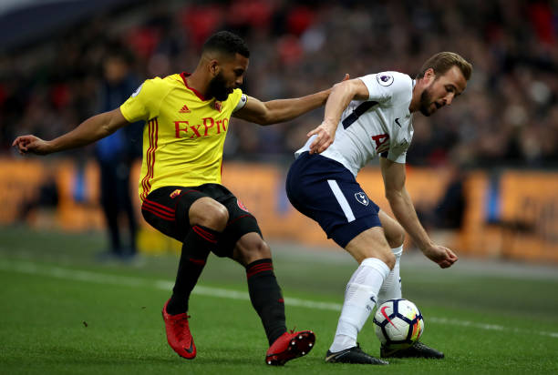 他尽管看不 他尽管看不